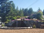 Camo Country Weddings & Events
