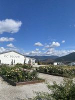 CC Bloom Flower Farm