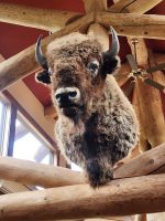 Boundary Ranch