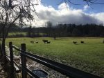 Keating Farm