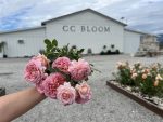 CC Bloom Flower Farm