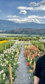 CC Bloom Flower Farm