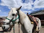 Boundary Ranch