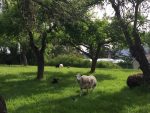 Keating Farm