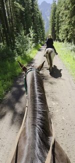 Boundary Ranch