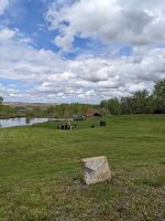 Camelot Ranch