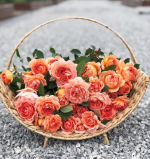 CC Bloom Flower Farm