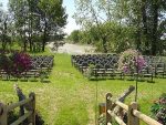 Lynnwood Ranch