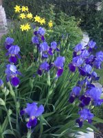 Jan’s Garden