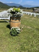 Little Creek Ranch