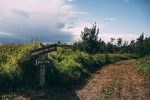 Woodland Farms Weddings