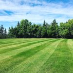 Hillside Acres Wedding Venue