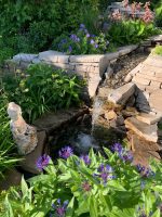 Jan’s Garden