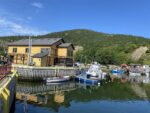 The Wharf at Quidi Vidi