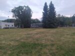 Newton Community League