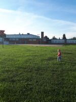 Wellington Park Community League